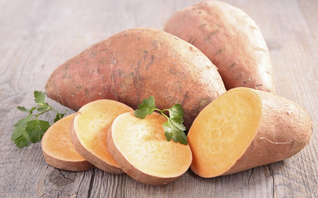 Batata Doce: a queridinha do mundo fitness.