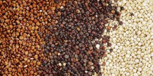 o-types-of-quinoa-facebook